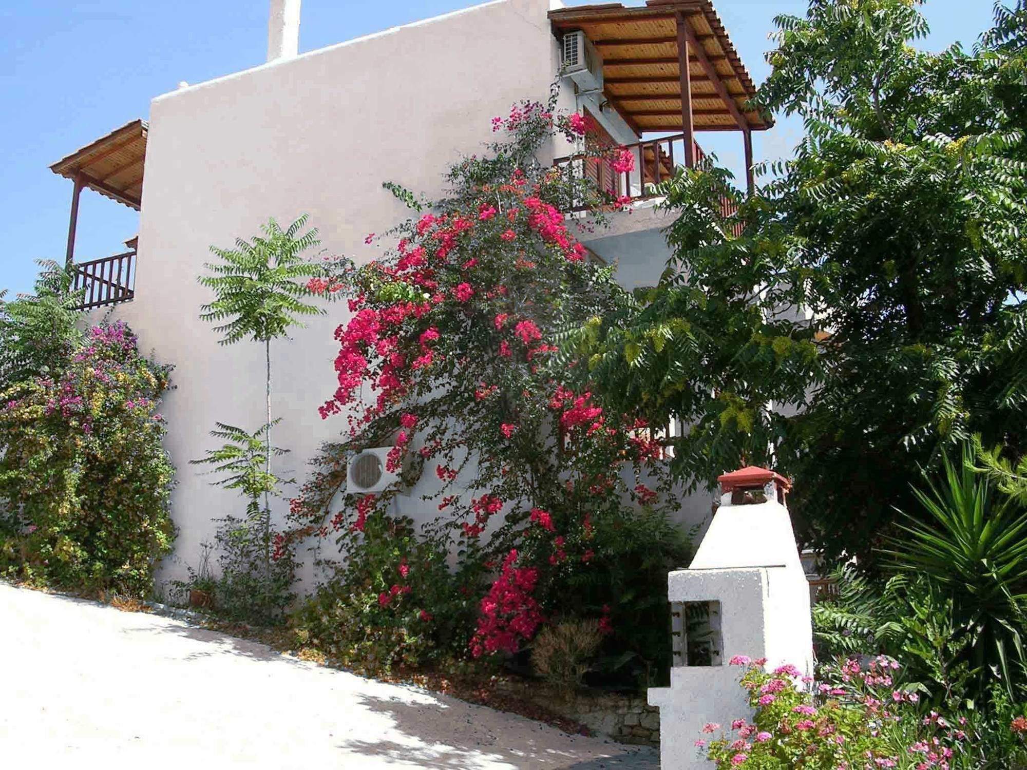123 Soleil Studios Agia Marina  Exterior foto